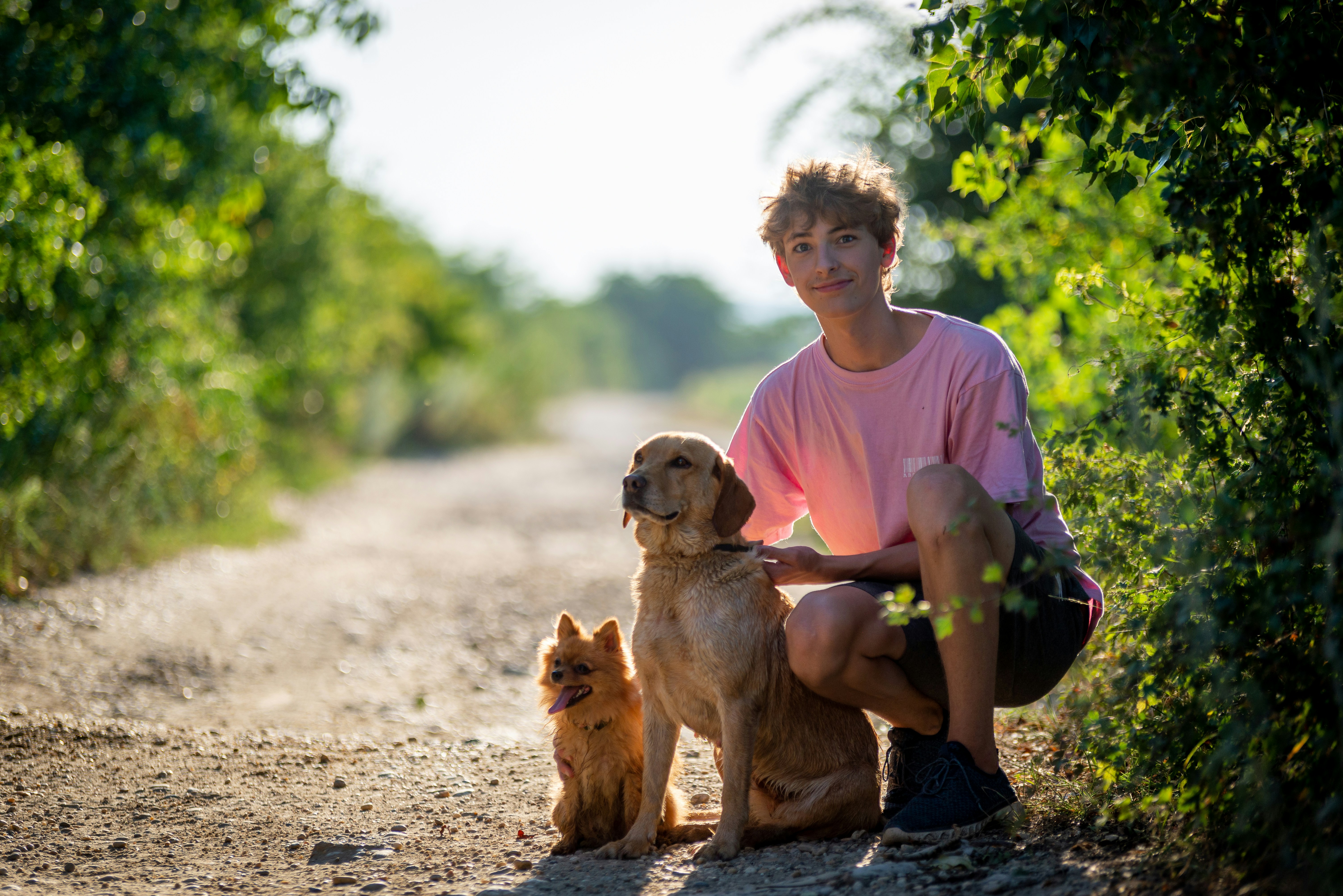 合规与风险提示：条款优化清单