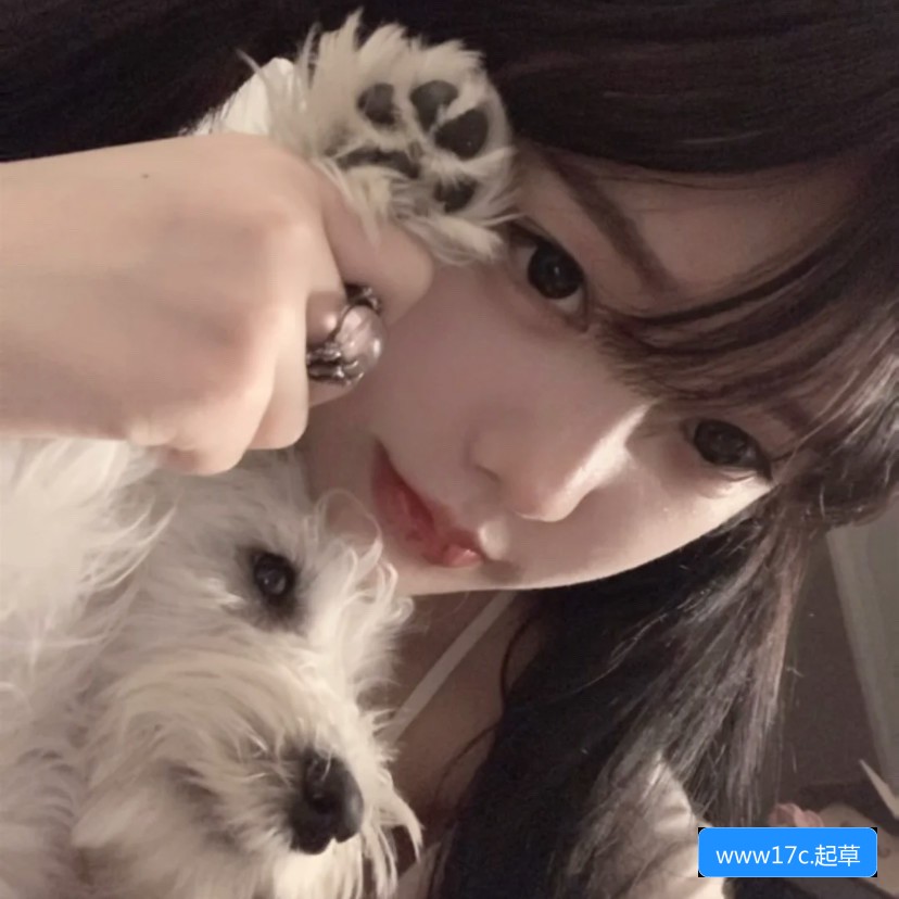 网页安全警示示意图