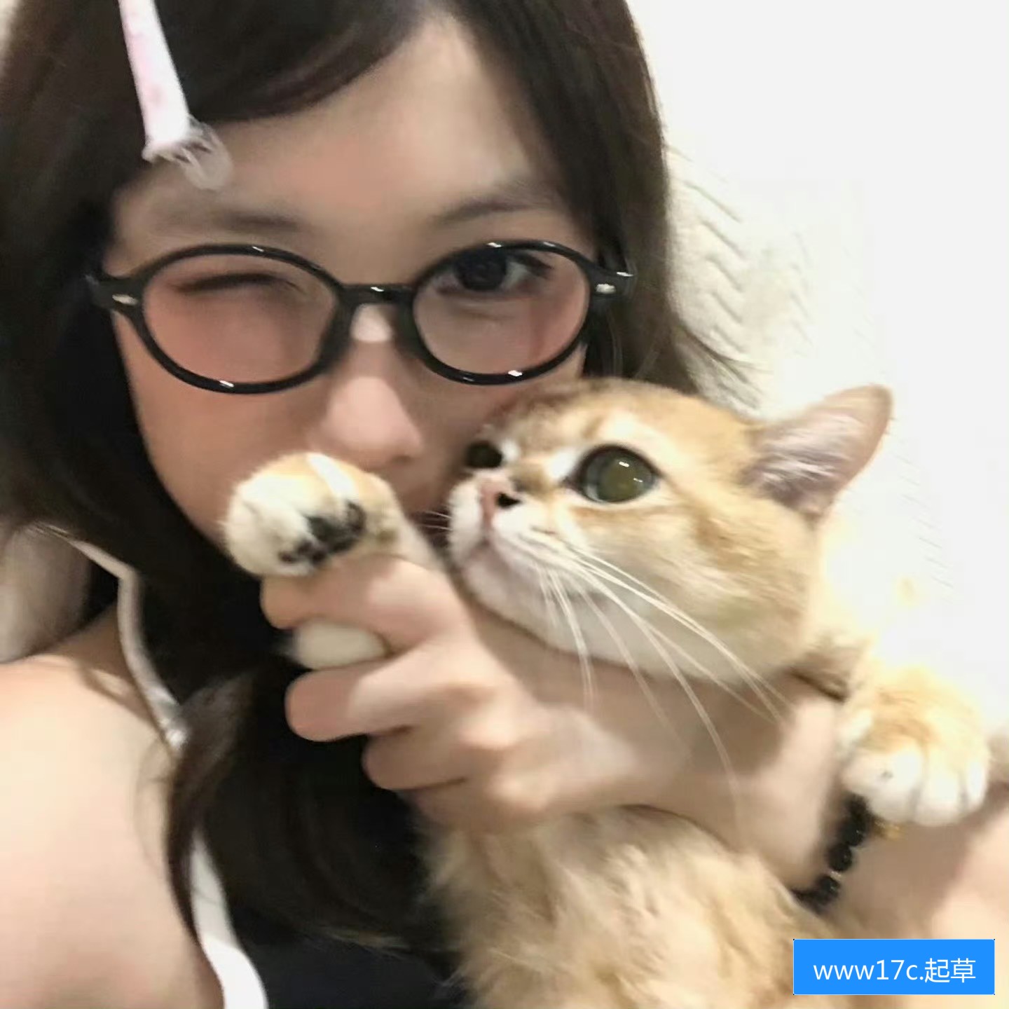 怎么下载www17c.cow网站的内容才能永久免费？